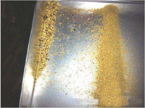 開采沙金 開采沙金